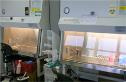 Cell culture facility at CFRx